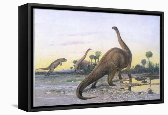 Brontosaurus Attacked by Allosaurus-Wilhelm Kuhnert-Framed Premier Image Canvas