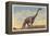 Brontosaurus, Dinosaur Park, Rapid City, South Dakota-null-Framed Stretched Canvas