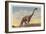Brontosaurus, Dinosaur Park, Rapid City, South Dakota-null-Framed Art Print