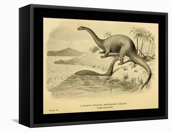 Brontosaurus Excelsus-Joseph Smit-Framed Stretched Canvas