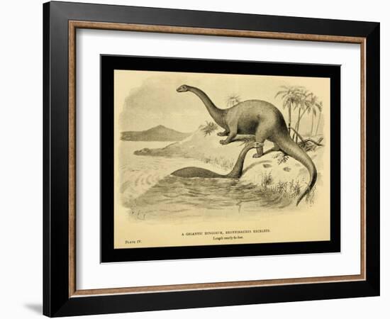 Brontosaurus Excelsus-Joseph Smit-Framed Art Print