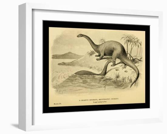 Brontosaurus Excelsus-Joseph Smit-Framed Art Print