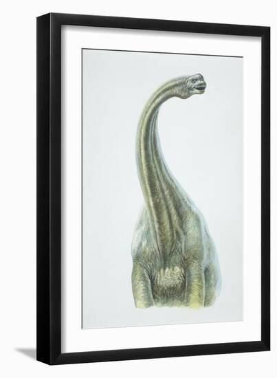 Brontosaurus, Jurassic Period-null-Framed Giclee Print