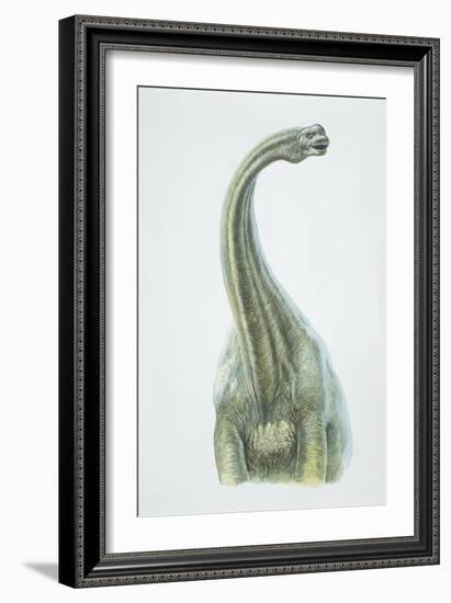 Brontosaurus, Jurassic Period-null-Framed Giclee Print