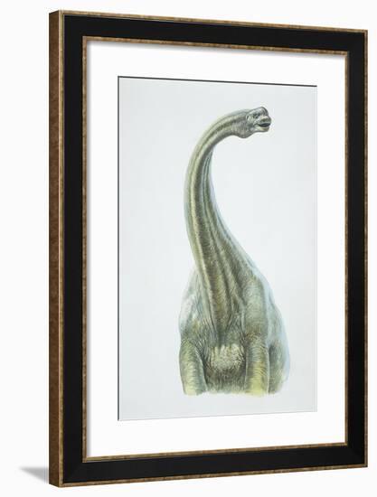 Brontosaurus, Jurassic Period-null-Framed Giclee Print