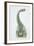 Brontosaurus, Jurassic Period-null-Framed Giclee Print