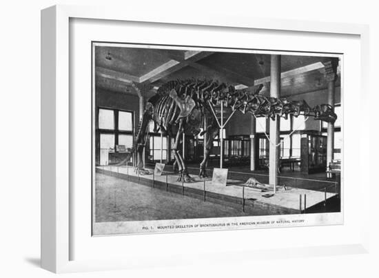 Brontosaurus Skeleton, American Museum of Natural History, New York, USA, Early 20th Century-null-Framed Giclee Print