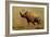 Brontotherium, a Family of Extinct Mammals-null-Framed Art Print