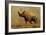 Brontotherium, a Family of Extinct Mammals-null-Framed Art Print