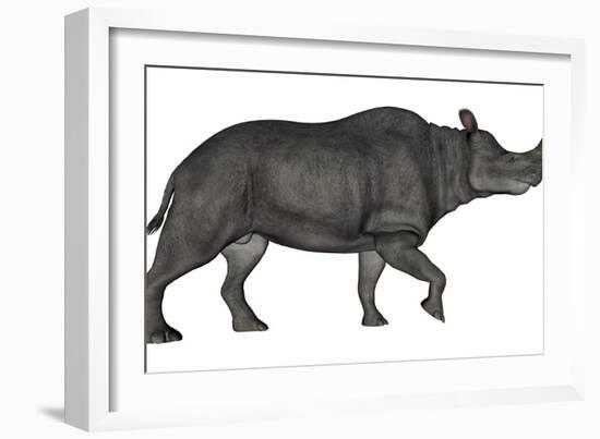 Brontotherium Isolated on White Background-Stocktrek Images-Framed Art Print