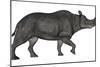 Brontotherium Isolated on White Background-Stocktrek Images-Mounted Art Print