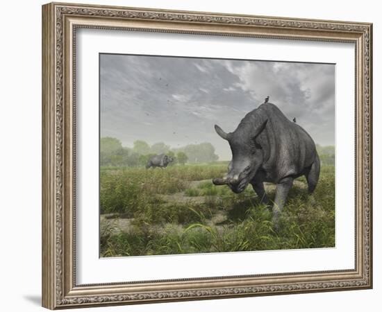 Brontotherium Wander the Lush Late Eocene Landscape-Stocktrek Images-Framed Photographic Print