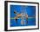 Bronx Zoo-Banksy-Framed Giclee Print