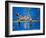 Bronx Zoo-Banksy-Framed Giclee Print