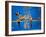 Bronx Zoo-Banksy-Framed Giclee Print