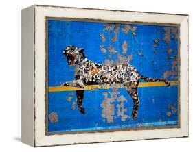 Bronx Zoo-Banksy-Framed Premier Image Canvas