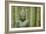 Bronze Buddha With Bamboo-Cora Niele-Framed Giclee Print