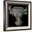 Bronze Bull's head escutcheon. Artist: Unknown-Unknown-Framed Giclee Print