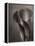 Bronze Calla Lily - 2-James M. Hunt-Framed Premier Image Canvas