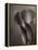 Bronze Calla Lily - 2-James M. Hunt-Framed Premier Image Canvas