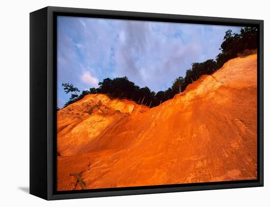 Bronze Cliffside in Dusk Light, Jasmund National Park, Island of Ruegen, Germany-Christian Ziegler-Framed Premier Image Canvas