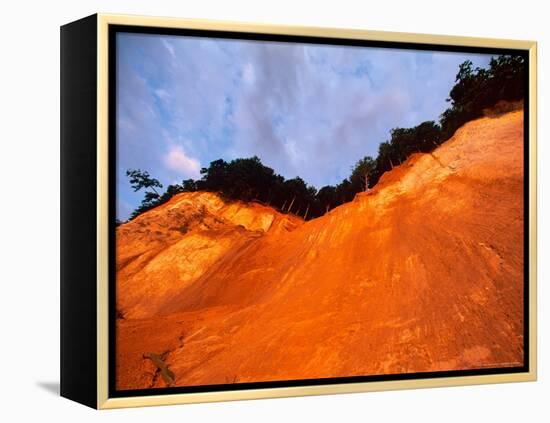 Bronze Cliffside in Dusk Light, Jasmund National Park, Island of Ruegen, Germany-Christian Ziegler-Framed Premier Image Canvas