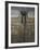 Bronze Doors in the Courtyard of the Friday Mosque or Masjet-Ejam, Herat, Afghanistan-Jane Sweeney-Framed Photographic Print