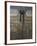 Bronze Doors in the Courtyard of the Friday Mosque or Masjet-Ejam, Herat, Afghanistan-Jane Sweeney-Framed Photographic Print