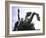 Bronze Equestrian Statue of Emperor Marcus Aurelius-Gjon Mili-Framed Photographic Print