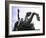 Bronze Equestrian Statue of Emperor Marcus Aurelius-Gjon Mili-Framed Photographic Print