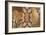 Bronze Filagree-Edward Aparicio-Framed Giclee Print