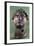 Bronze Head of the Emperor Hadrian, 2nd Century Ad-null-Framed Photographic Print