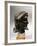 Bronze Head of Zeus, from Olympia, Greece-null-Framed Giclee Print