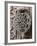 Bronze Knocker on Wooden Engraved Doors, Reales Alcazares, Seville, Andalucia, Spain, Europe-Guy Thouvenin-Framed Photographic Print