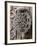 Bronze Knocker on Wooden Engraved Doors, Reales Alcazares, Seville, Andalucia, Spain, Europe-Guy Thouvenin-Framed Photographic Print
