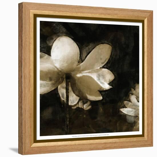 Bronze Lily II-Noah Bay-Framed Stretched Canvas