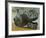 Bronze Lion, from Mari, Syria-null-Framed Giclee Print