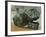 Bronze Lion, from Mari, Syria-null-Framed Giclee Print