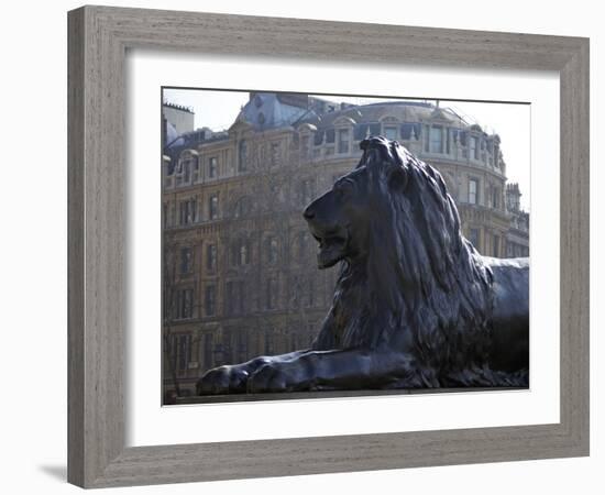 Bronze Lion Statue by Sir Edwin Landseer, Trafalgar Square, London, England, United Kingdom, Europe-Peter Barritt-Framed Photographic Print