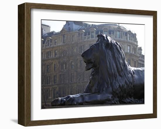 Bronze Lion Statue by Sir Edwin Landseer, Trafalgar Square, London, England, United Kingdom, Europe-Peter Barritt-Framed Photographic Print