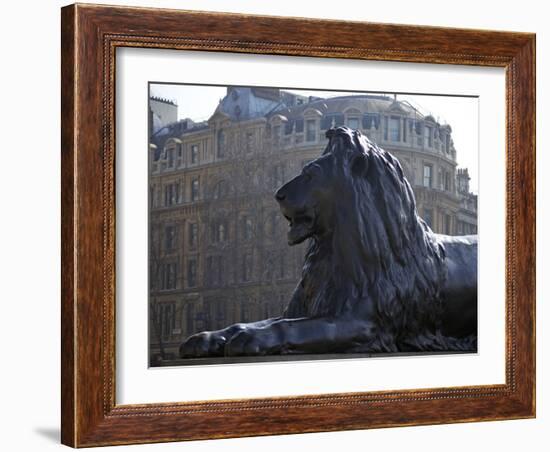 Bronze Lion Statue by Sir Edwin Landseer, Trafalgar Square, London, England, United Kingdom, Europe-Peter Barritt-Framed Photographic Print