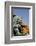 Bronze Mythological Lion Statue, Forbidden City, Beijing, China-Cindy Miller Hopkins-Framed Photographic Print