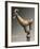 Bronze Statue Depicting Zoomorphic Figure, from Sirakavan, Armenia-null-Framed Giclee Print