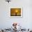 Bronze Statue of Jesus Stands at Cemetery Overlooking a Wildfire Burning in Anaheim Hills Area-null-Framed Photographic Print displayed on a wall