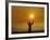 Bronze Statue of Jesus Stands at Cemetery Overlooking a Wildfire Burning in Anaheim Hills Area-null-Framed Photographic Print