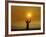 Bronze Statue of Jesus Stands at Cemetery Overlooking a Wildfire Burning in Anaheim Hills Area-null-Framed Photographic Print