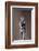 Bronze statue of King Taharqa, Ancient Egyptian, 25th dynasty, 690-664 BC-Werner Forman-Framed Photographic Print