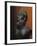 Bronze Statue of Silenus Marsyas-null-Framed Giclee Print