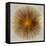 Bronze Sunburst I-Abby Young-Framed Stretched Canvas