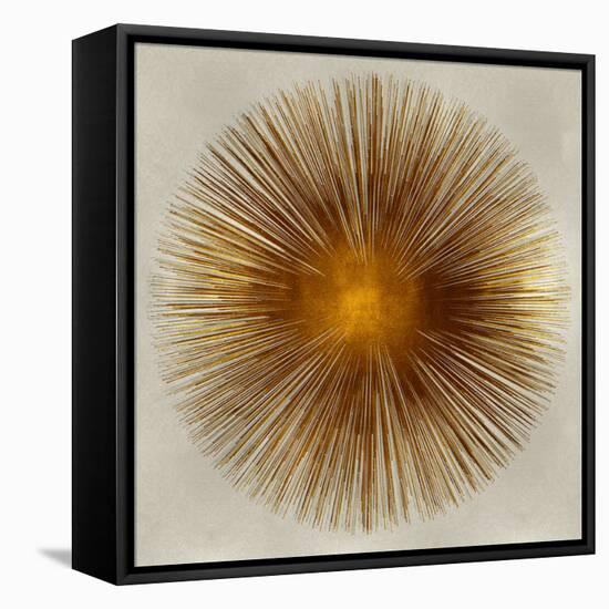 Bronze Sunburst I-Abby Young-Framed Stretched Canvas